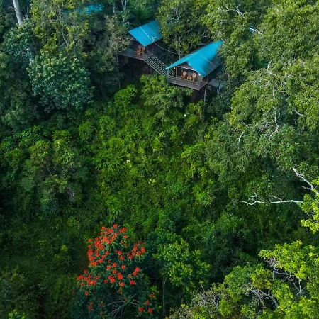 Wayanad Wildlife Resort Sultan Bathery Exterior photo