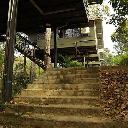 Wayanad Wildlife Resort Sultan Bathery Exterior photo