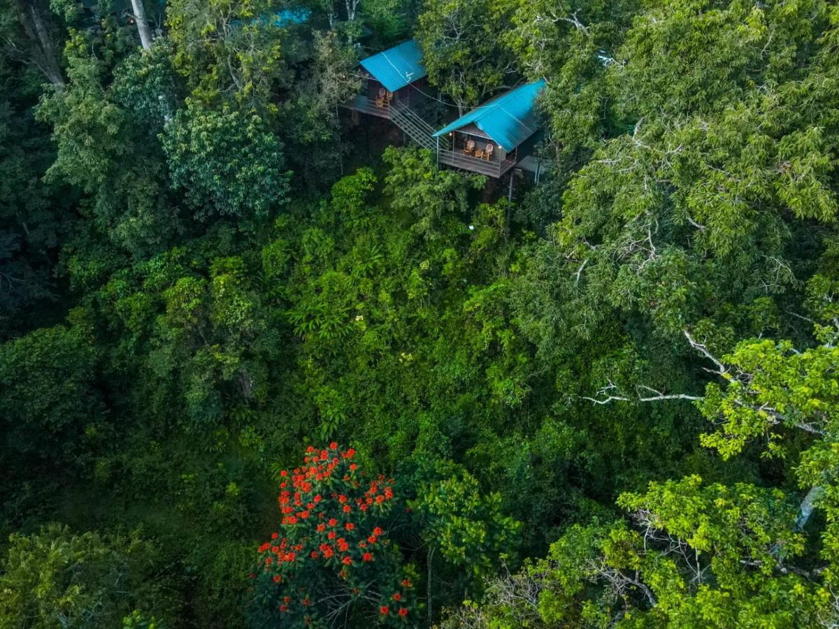 Wayanad Wildlife Resort Sultan Bathery Exterior photo